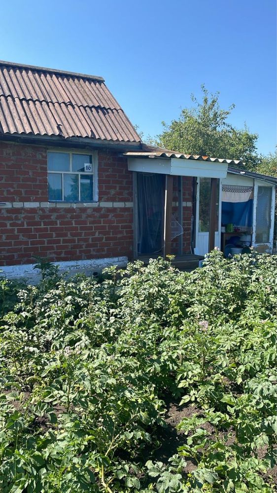 Продам дачу , СТ «Дружба»