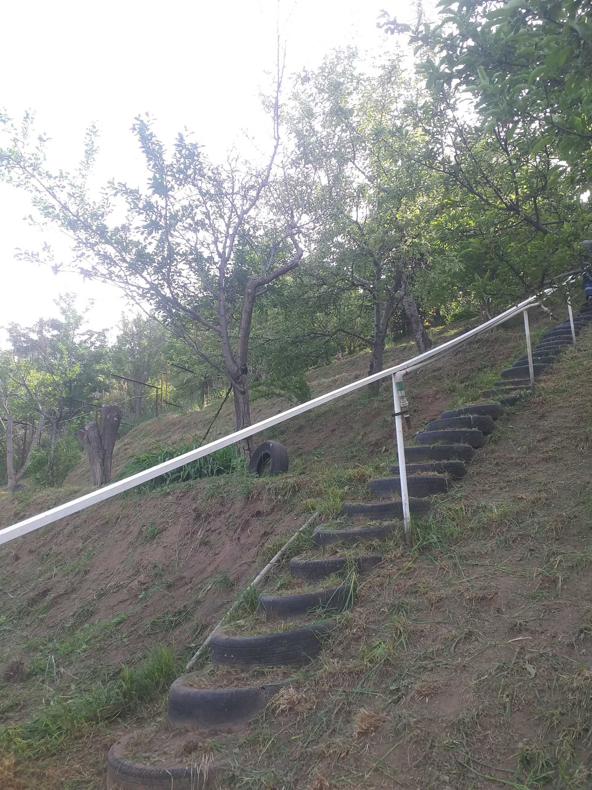 Покос травы, расчистка участка
