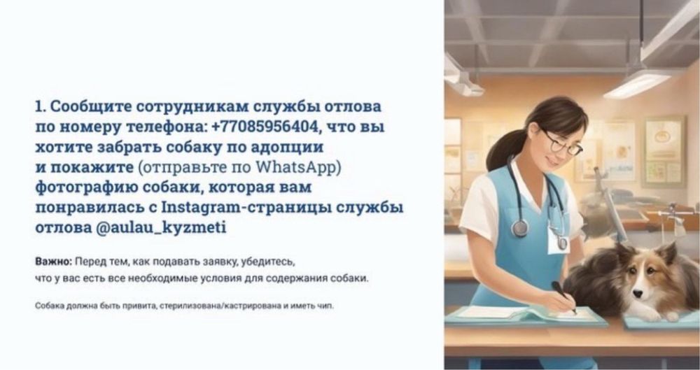 Найдены животные в отлове.