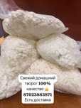 Домашний творог 100%качество