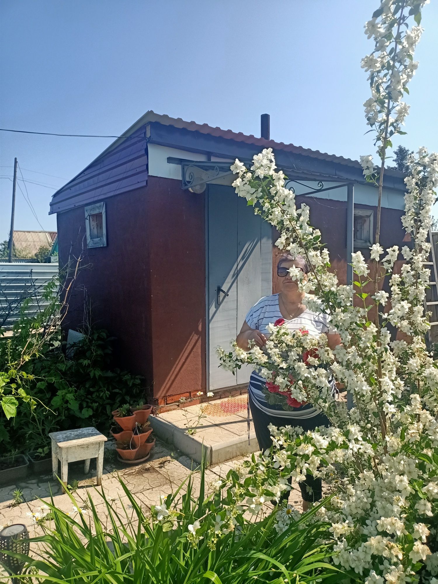 Продам Дачу со колос