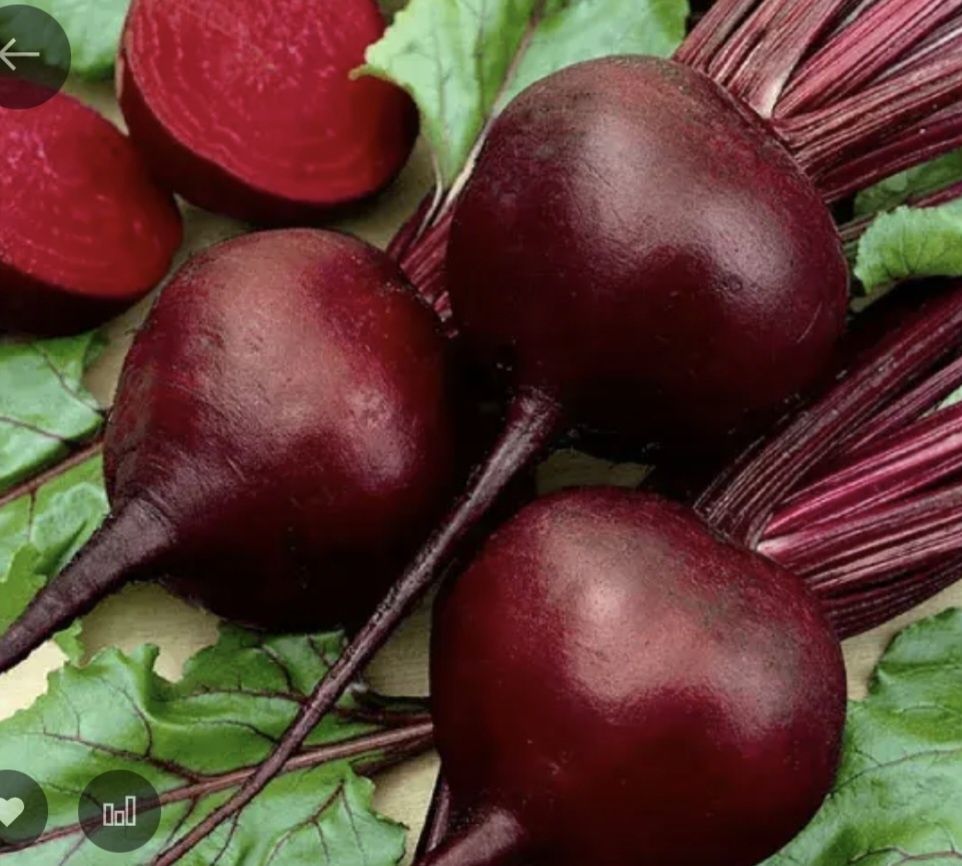 Профессиональные сем ена