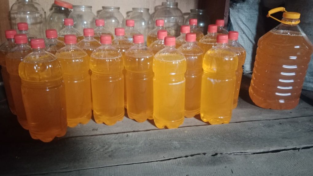 Продам мед катонский собственнной