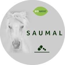 Акция !!! Только 3 дня  Saumal  Biohayat halal в капсулах