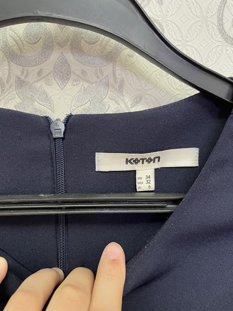 Kotonnin koilegi