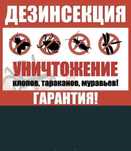 Дизенфекция акция