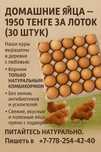 Домашние яйца 100% домашние