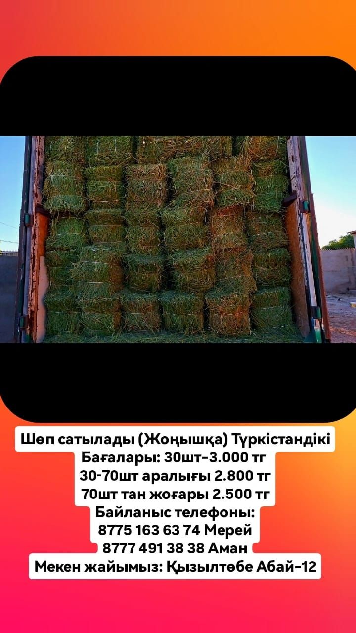 Жоңышқа Шөп 3000