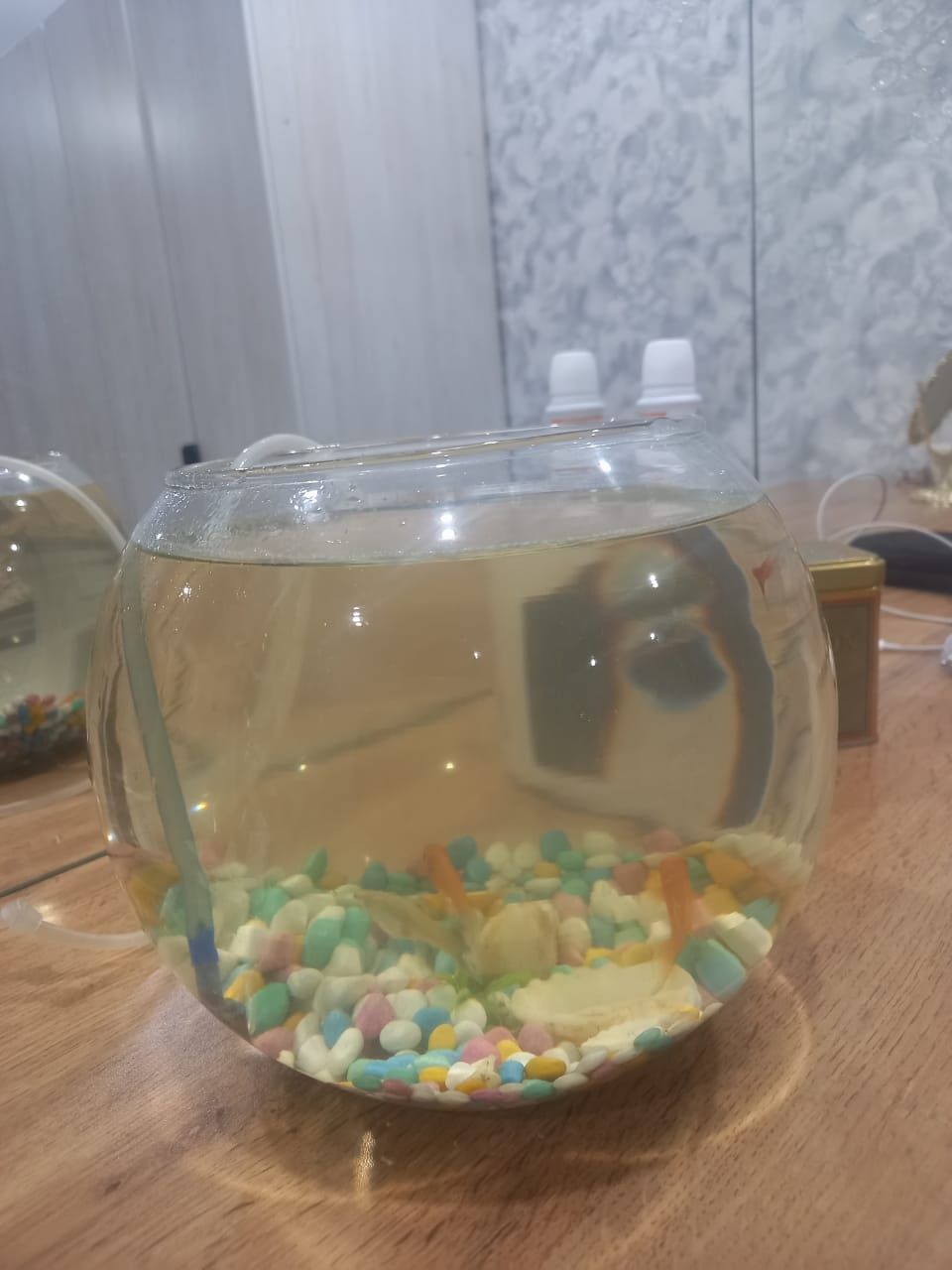 Срочно продам аквариум