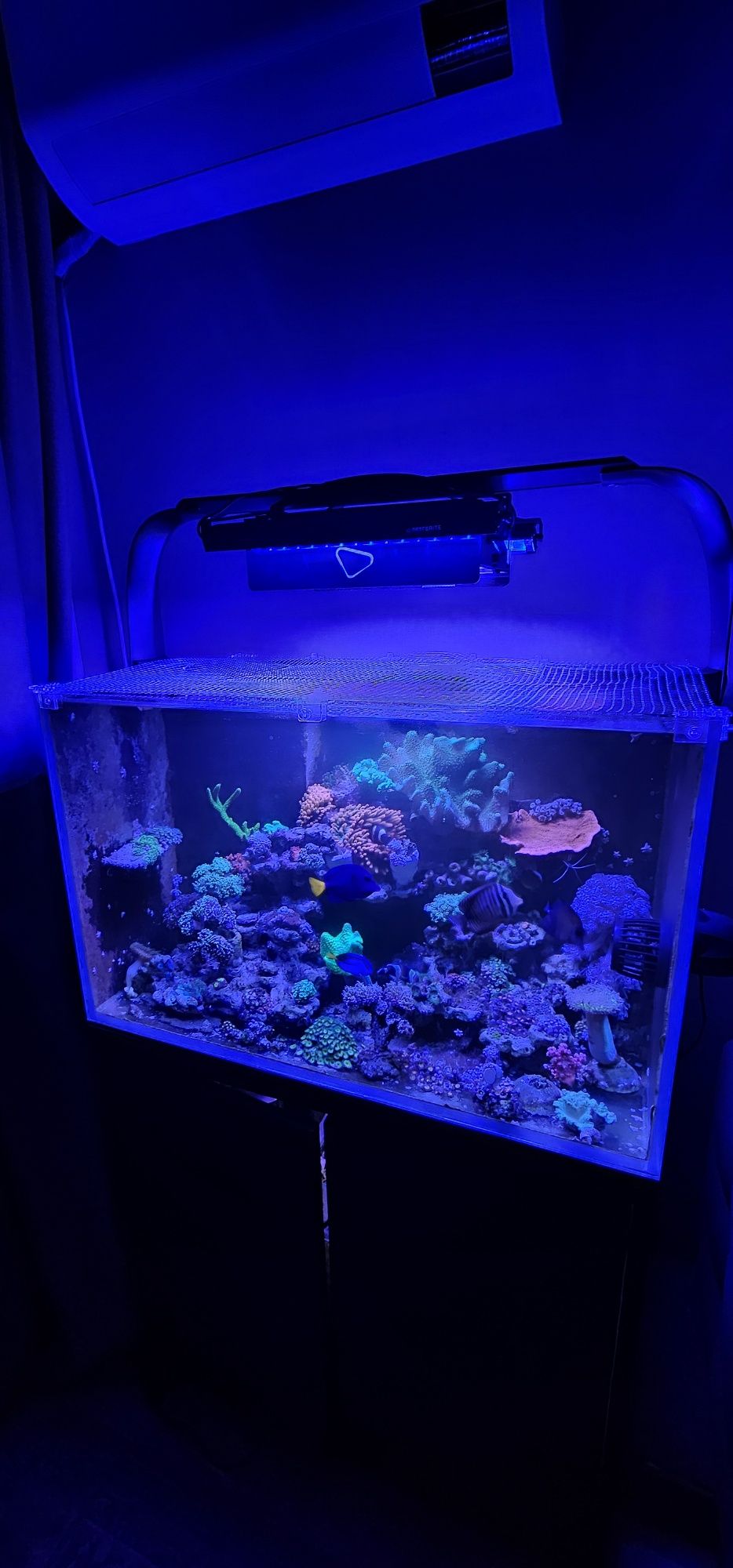 Морской аквариум с топовым освещением Ecotech Radion XR30 Pro