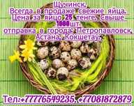 Перепелиные яйца по25тенге свыше 1500шт.Отправляем в ближайшие города.