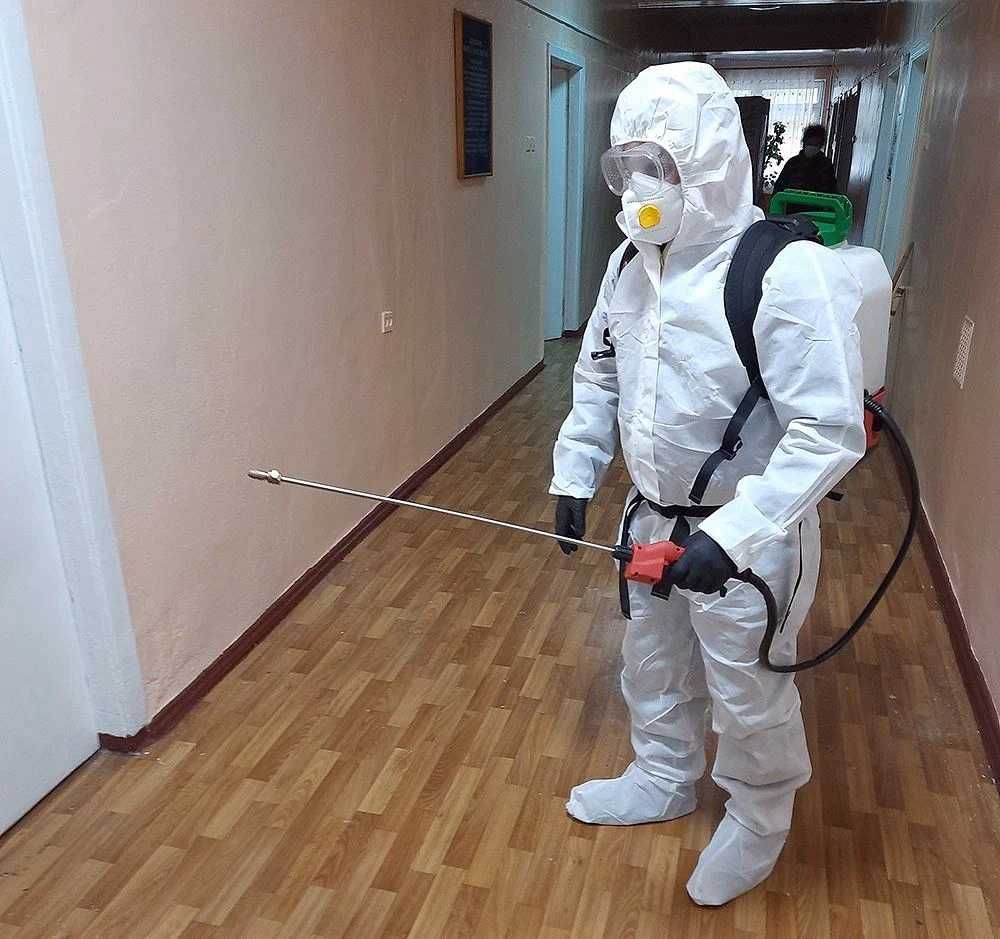 Дезинфекция Помещений Квартир Домы От Тараканаов Клопов Насекомых