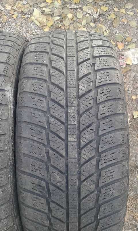 Шины 205/55 R16 - "Evergreen Winter EW62" (Китай), зимние.