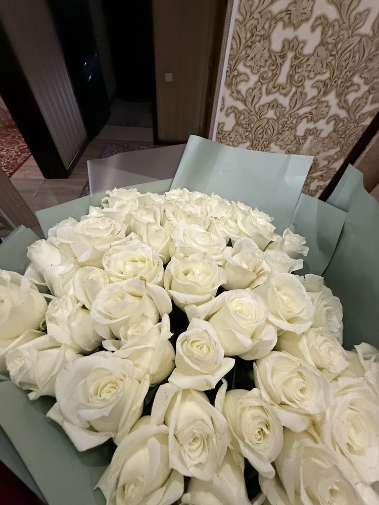 Розы 51 шт свежиее