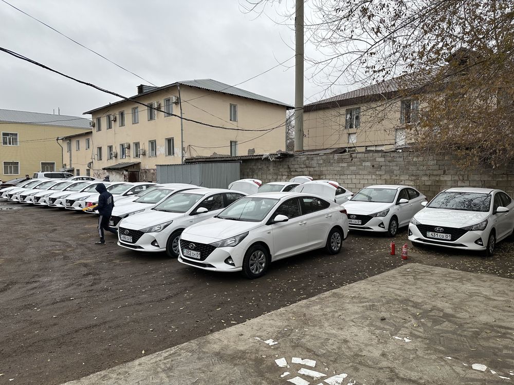 Аренда авто, Hyundai Accent 2023