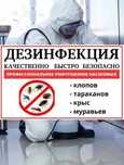 Дезинфекция против всех насекомых тараканы клопы крысы мыши
