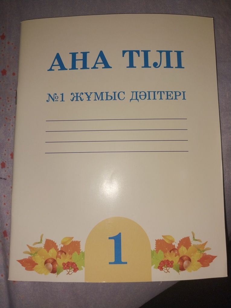 Әліппе1,2,3 ;дүниетану; көркем әдебиет; жаратылыстану; қазақ тілі