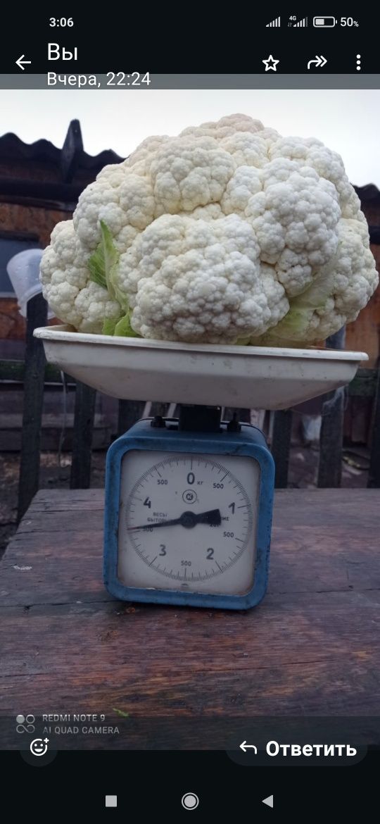 Продам дачную продукцию
