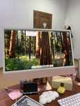 IMac M3 2023 года, 516 гб.