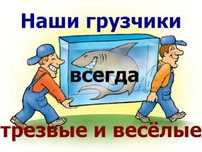 грузчики,Сборка мебели,Машины; В течении 30 минут у Вас Грузоперевозки