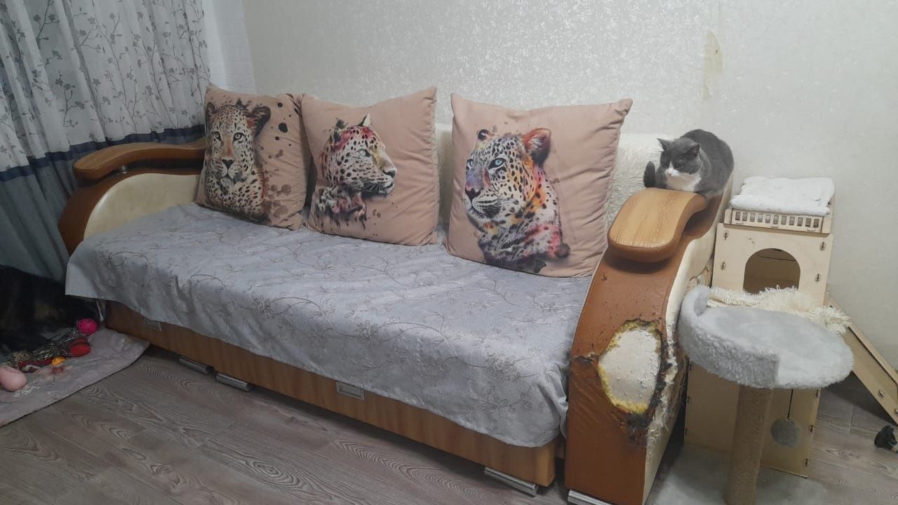 Продам диван. Недорого