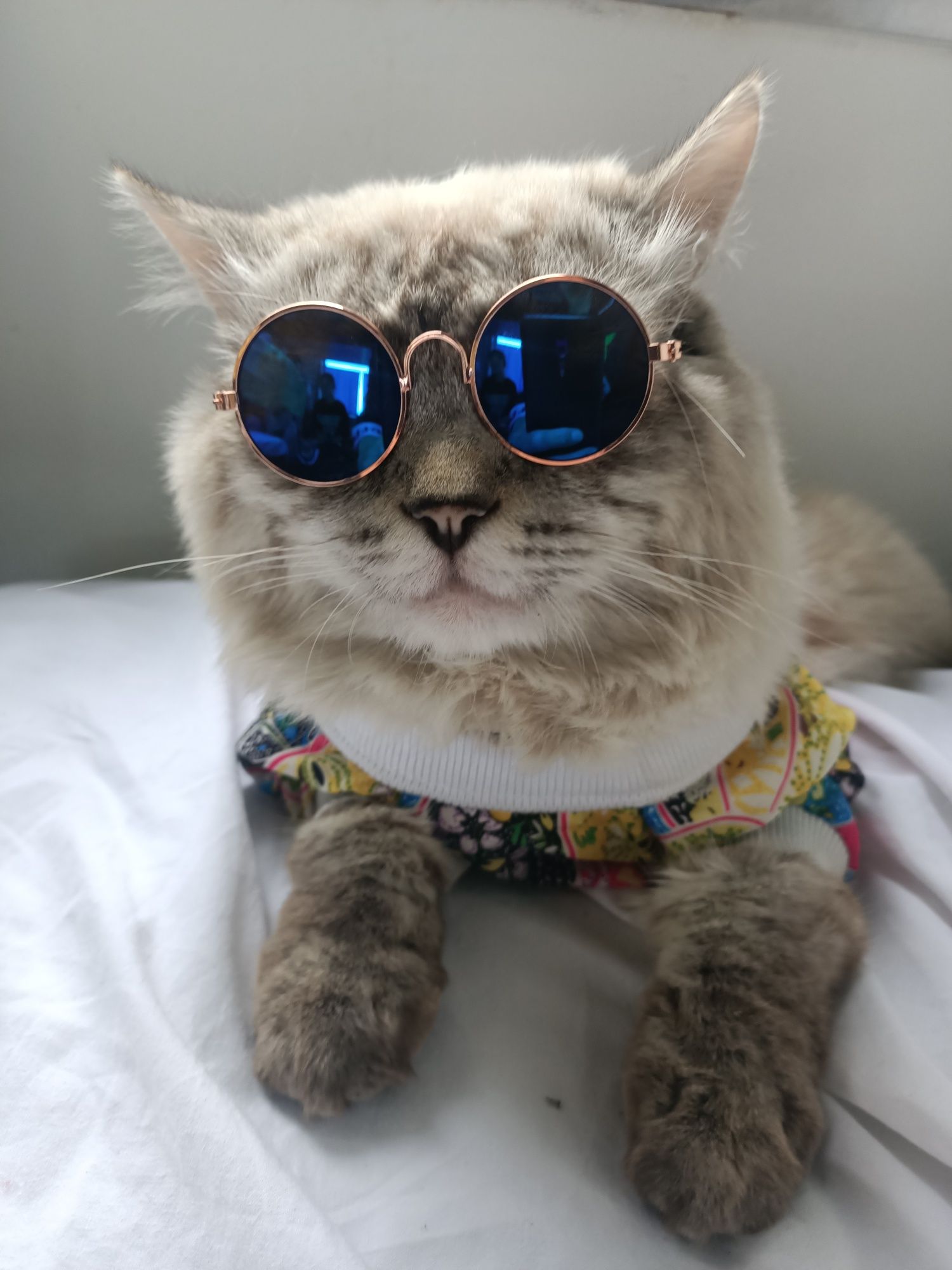 Кот.Акмамык.Вязка