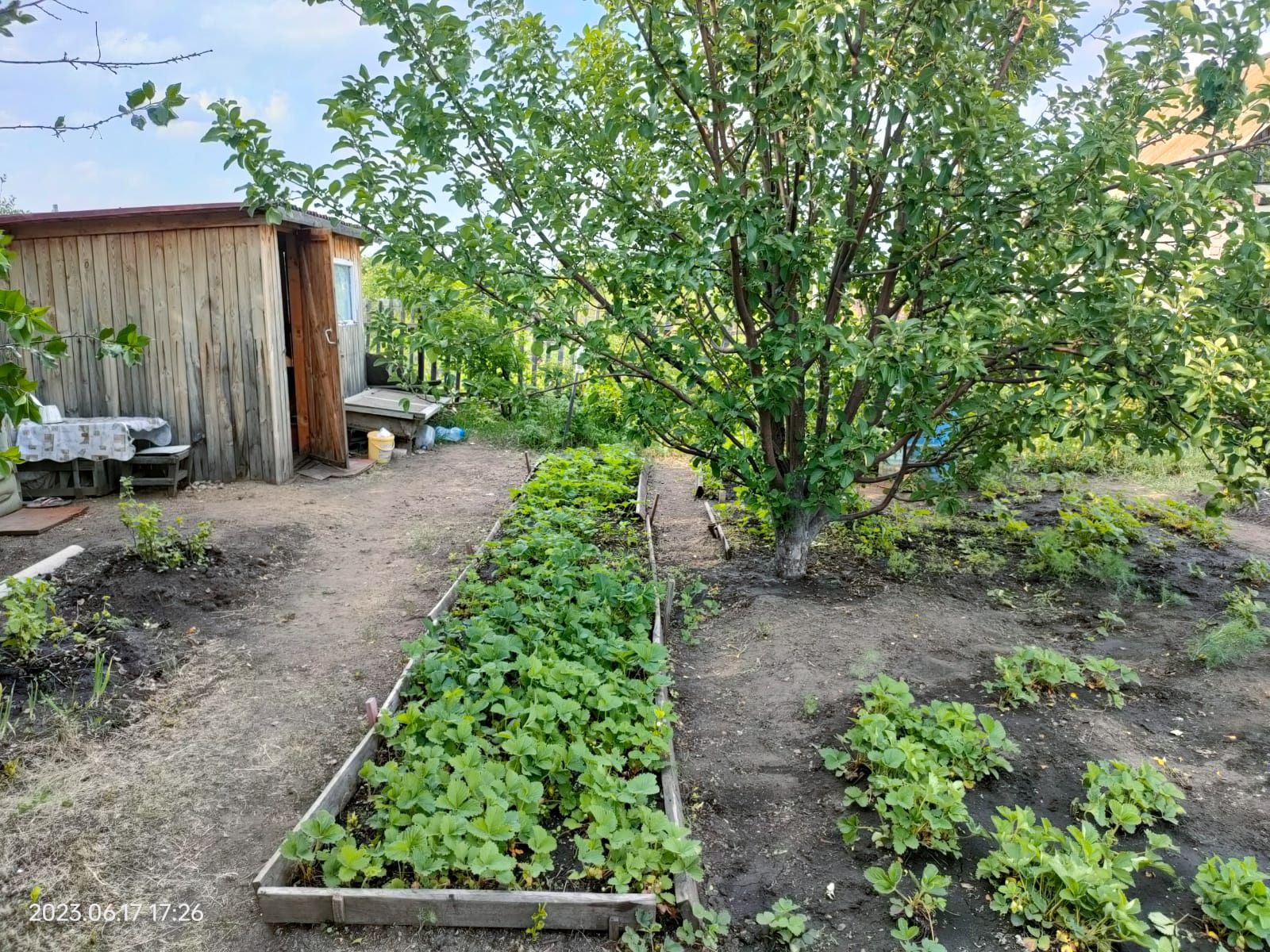 Продам дачу. С/ о "Дружба"