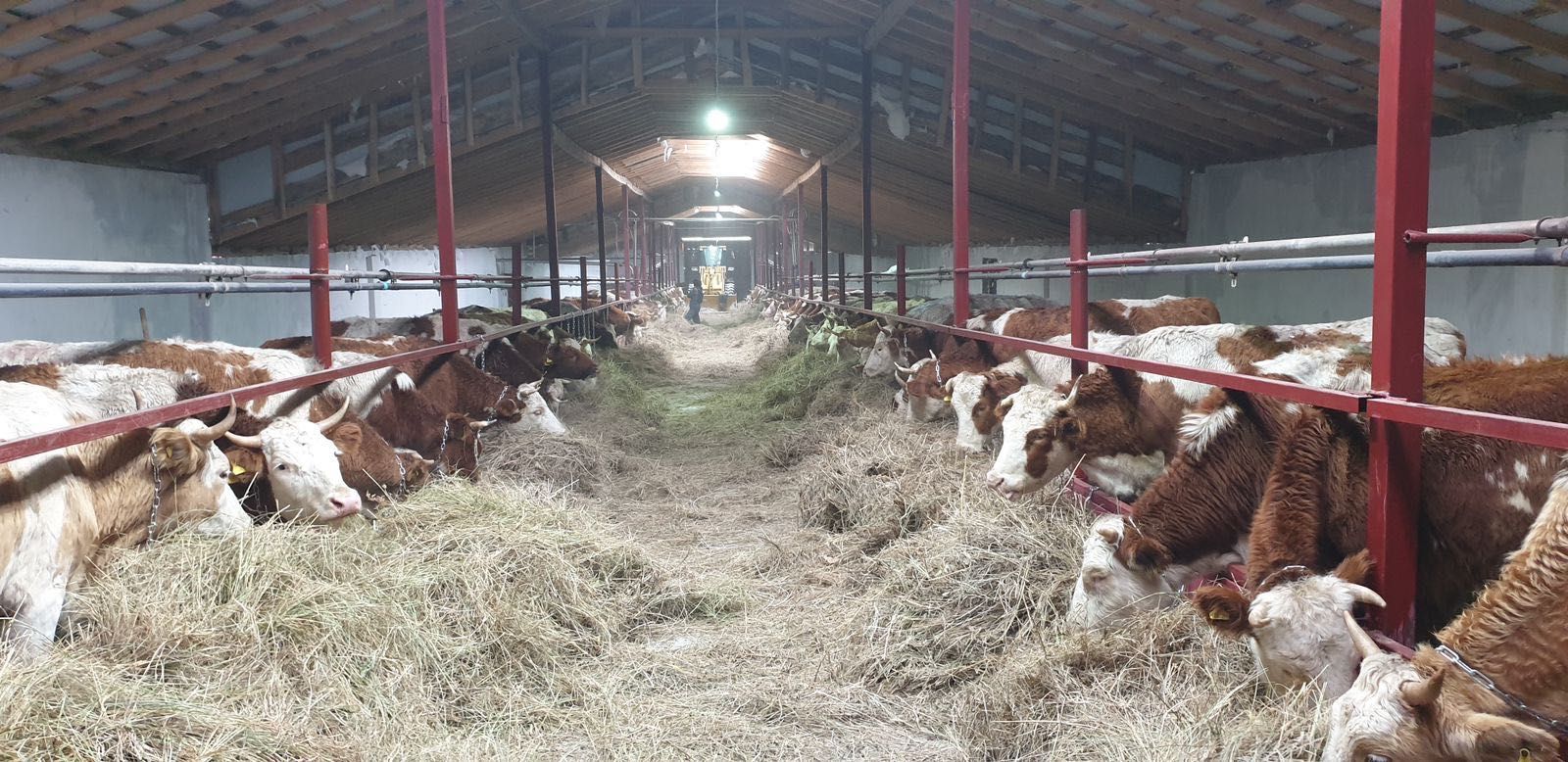 Продается крестьянское хозяйство