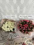 Срочно продам цветы очень красивые  цена на фоте