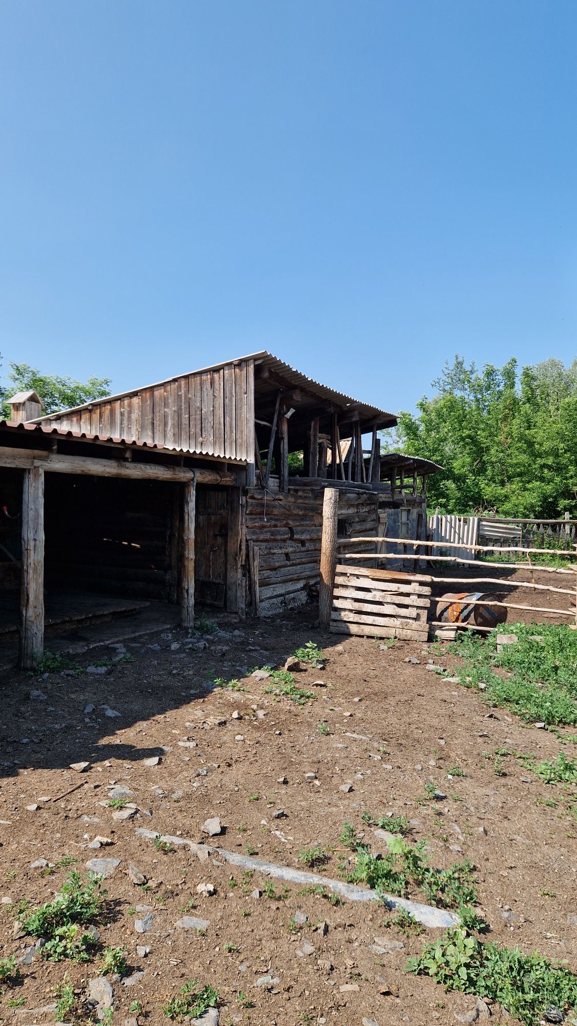 Продается Крестьянское хозяйство 21,4 га. с. Черногорка