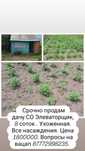 Продам дачу, СО элеваторщик