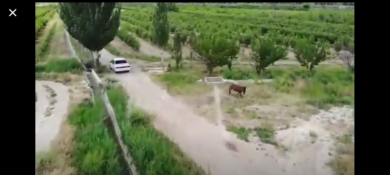 Крестьянское хозяйство 3 гектара