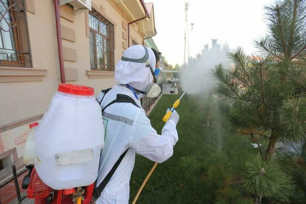 Экологическая дезинсекция для домов и дач/защита без вреда для природы