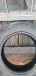 Продам 1 балон   195/65 R15
