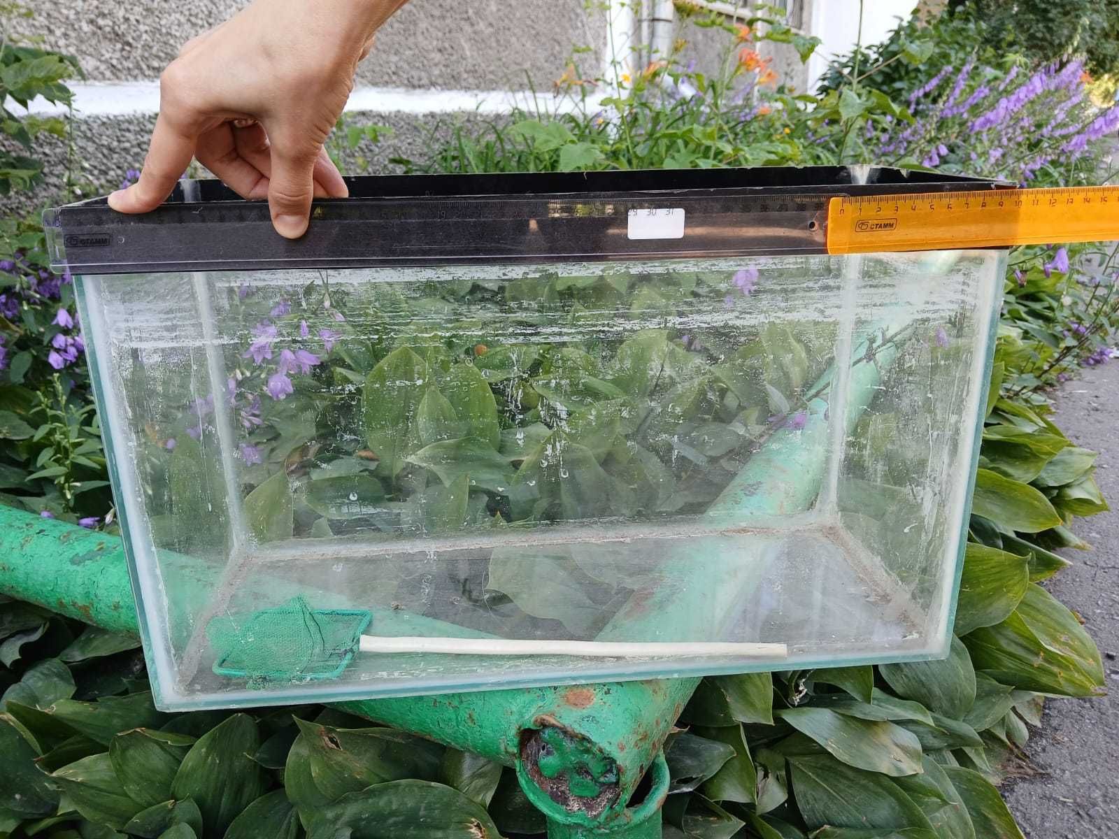 продам аквариум для рыбок