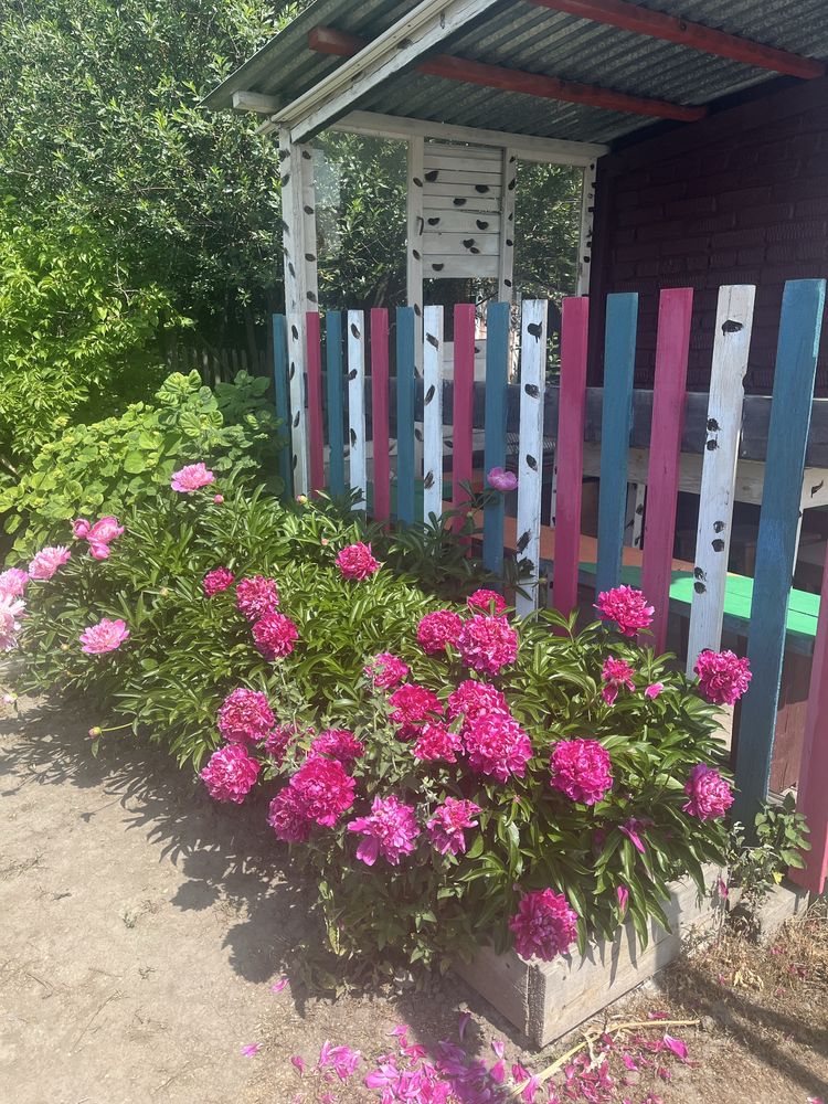 Продам дачу в районе Ахмирово