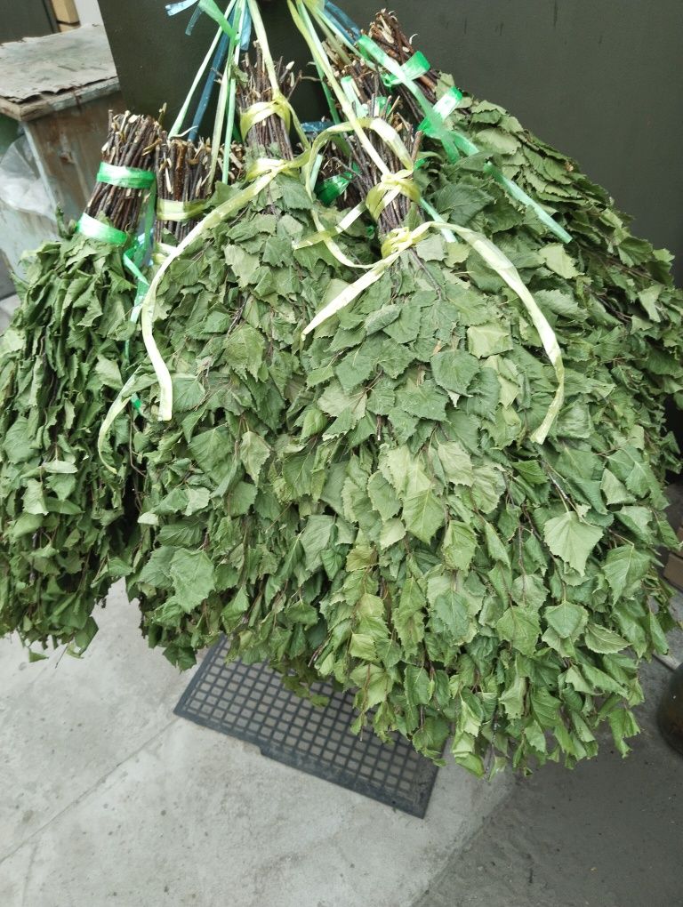 Продам веник березовый,керосиновую лампу. Колба.