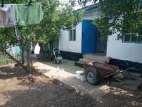 Капал ауылында уй сатамын