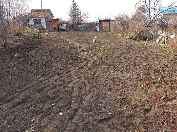 Продается дача с Урожаем! Остановка 3 дачная.