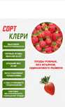 Продам клубнику,высоко урожайная,дает ягоду один раз