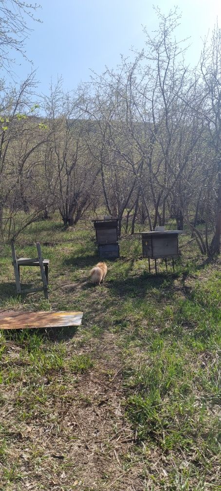 Продам участок с домом . Зимний вариант