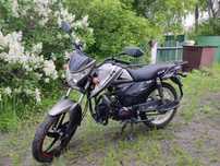Peda Shark 49(125)