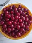 Вишня  800    смородина 2200 вкусная крупная