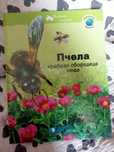 Книги .                Разные   .