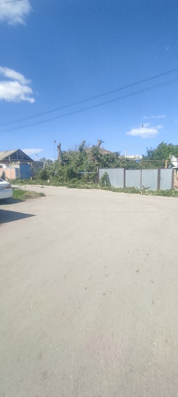 Спил кронирование деревьев выезд осмотр бесплатно