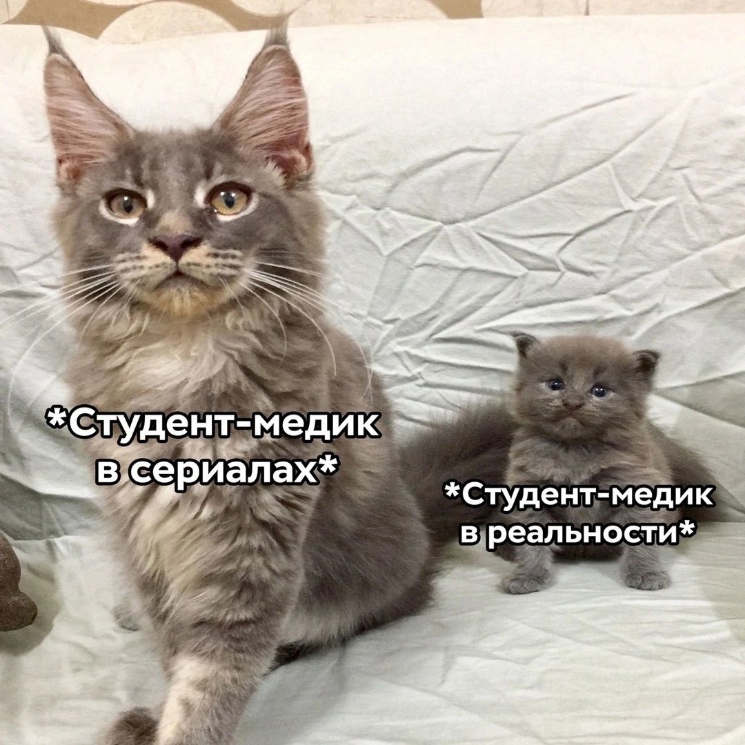 Репетитор химии и биологии