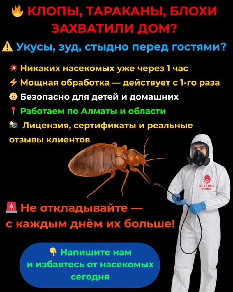 Дезинфекция, дезинсекция. Уничтожение клопов, тараканов.