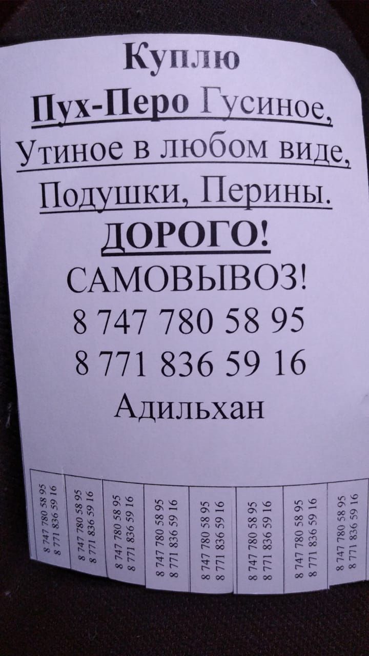 Приму пух подушки перины  свежее перо гусиное утиное