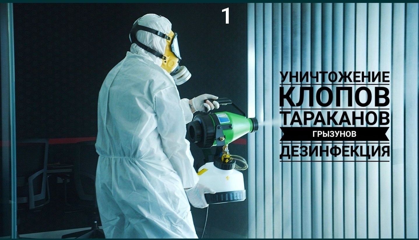 Гарантируем результат! Дезинфекция! Клопы, тараканы, мыши, крысы