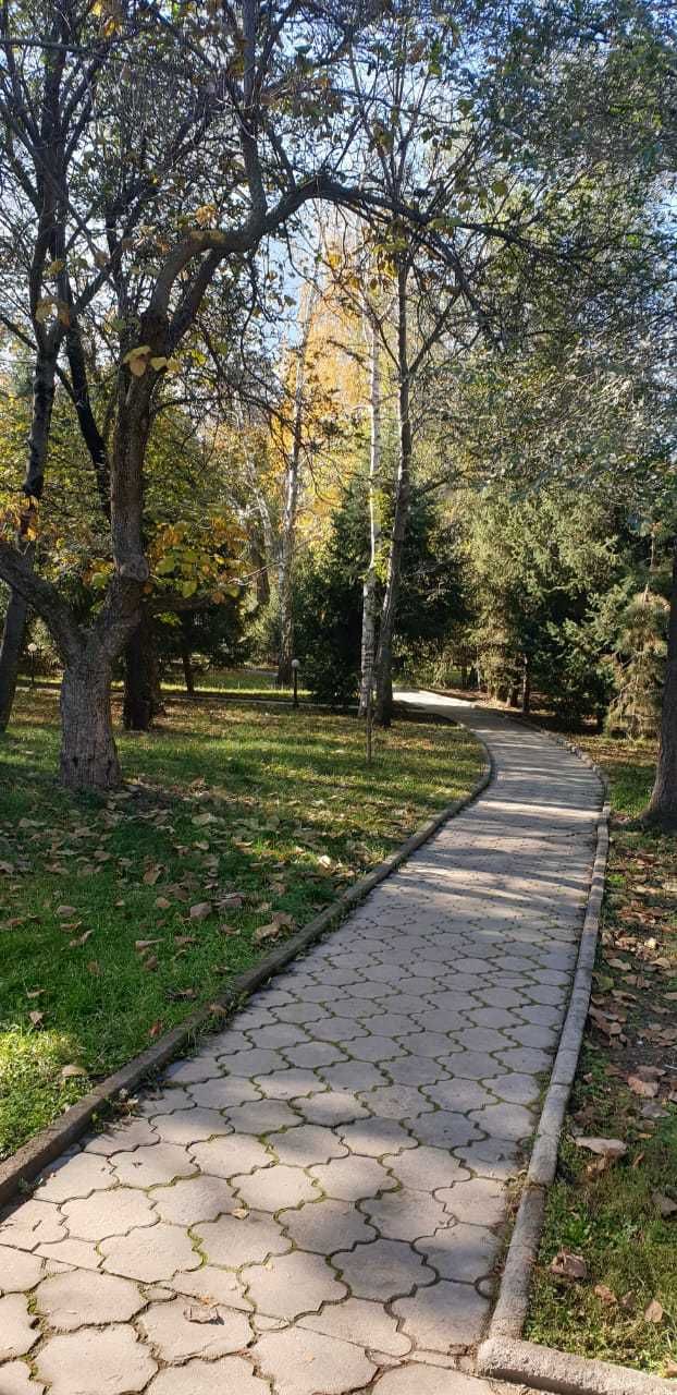 Ул. Таттимбета дом 252-254, пр. Достык, выше Санатория "Казахстан